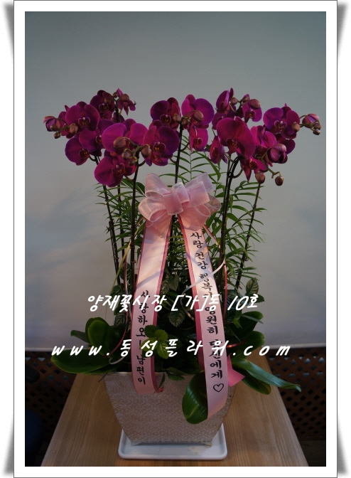 굿  ۻԴϴ.