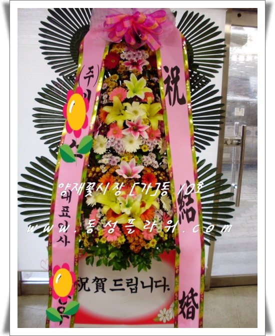 뱸 ŶȦ  ۻԴϴ.