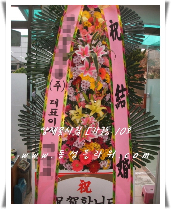 泲 ظȭ  ۻԴϴ.