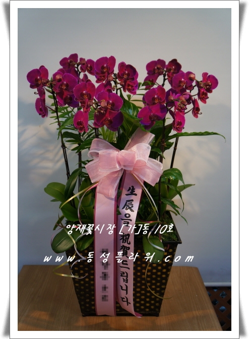 鵿 븲Ʈ  ۻԴϴ.