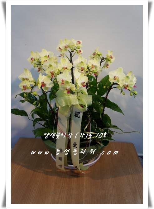ϵ  ۻԴϴ.
