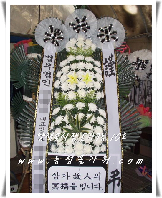 츮 ʽ  ȭȯԴϴ.